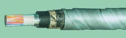 Кабель ТПппПБГ 10х2х0,7