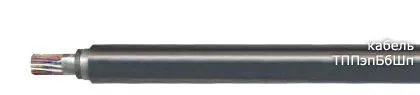 Кабель ТППэпБбШп 20х2х0,4