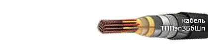 Кабель ТППэпЗБбШп 600х2х0,4