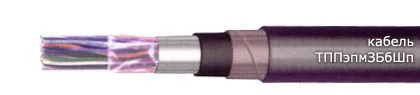 Кабель ТППэпмЗБбШп 300х2х0,5-200