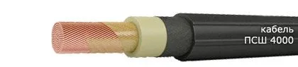 Кабель ПСШ 4000
